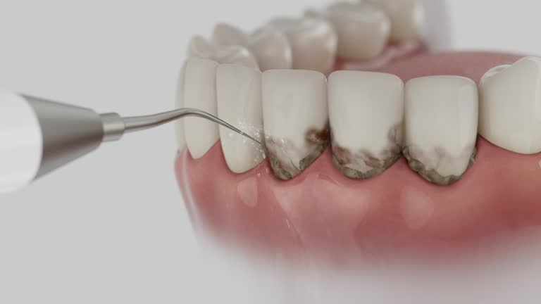 Reliable Dental contractor in Fort Belvoir, VA by Dentist Open Now